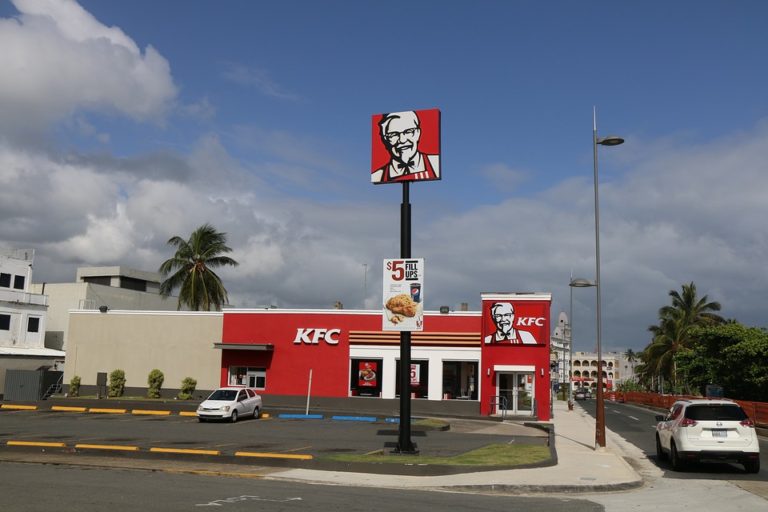 Celosvětově nejúspěšnější franchisové podniky